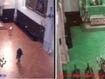 Ferrara - Il mistero del teschio lasciato in chiesa
