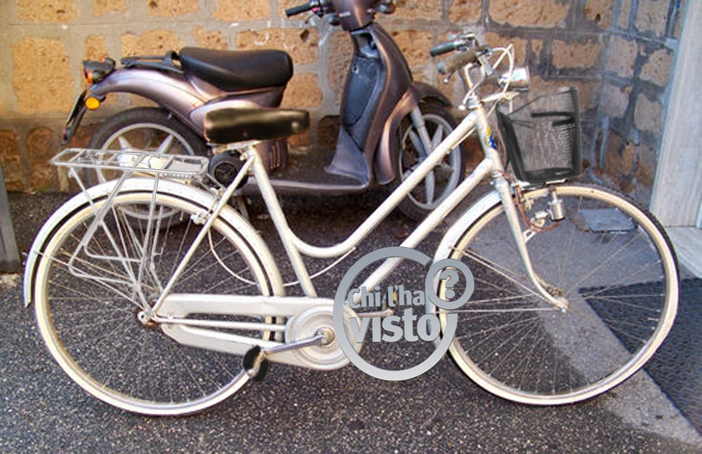 Ricostruzione grafica della bicicletta di Marianna Cendron